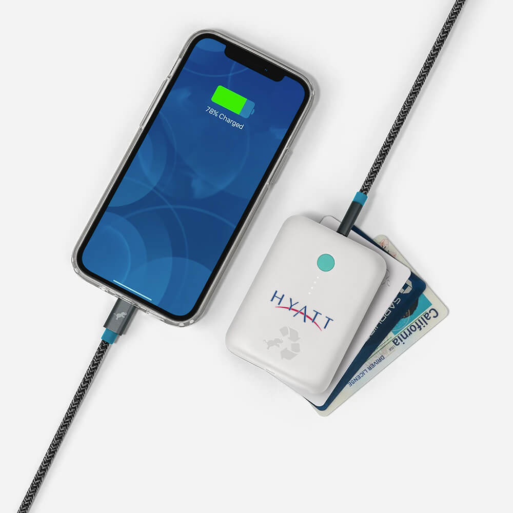 Nimble Champ Lite 5,200mAh Portable Charger Product Image